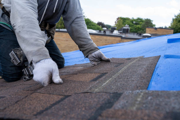Steel Roofing in Bartlett, IL